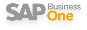 sap business one case studies